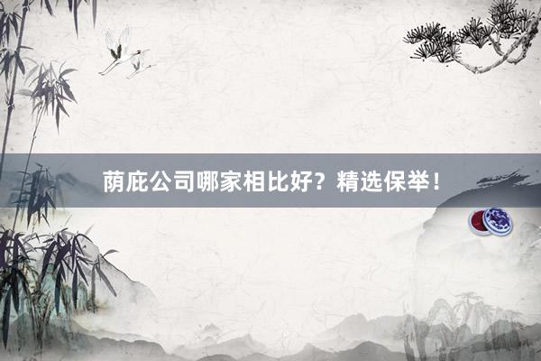 荫庇公司哪家相比好?精选保举!