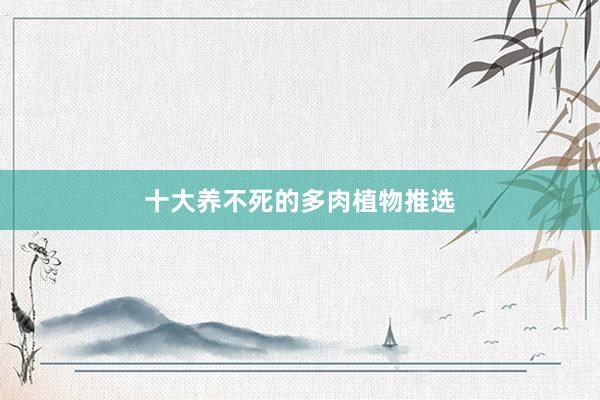 十大养不死的多肉植物推选